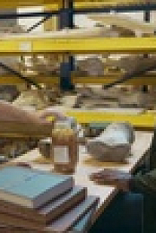 Human Footprint S01E02 1080p WEBRip x264-BAE EZTV