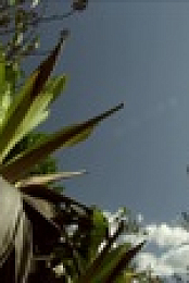 Essequibo Hidden River S01E01 1080p WEB H264-CBFM EZTV