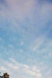 Nature Gone Wild S01E06 480p x264-mSD EZTV