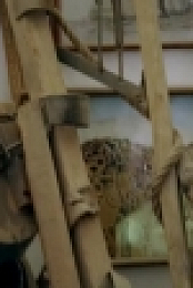 American Pickers S18E15 HDTV x264-KILLERS[eztv]