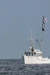 Wicked Tuna S12E10 480p x264-mSD EZTV