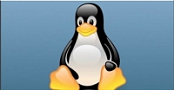 [ FreeCourseWeb ] Udemy - Learn Linux User Space Debugging