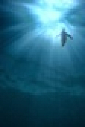 Our Universe S01 1080p WEBRip x265 EZTV
