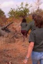 Work On The Wild Side S01E16 XviD-AFG EZTV