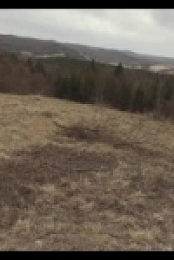 HuntCo S04E12 480p x264-mSD [eztv]
