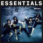 Alestorm Essentials (2019) (Apple Music) [320kbps] {YMB}