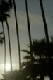 Surviving Evil S03E02 Total Control 720p WEB x264-APRiCiTY [eztv]