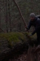 Code of the Wild S01E02 Alaska Triangle WEBRip x264-CAFFEiNE [eztv]