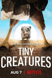Tiny Creatures S01 1080p NF WEBRip DDP5 1 x264-ExREN