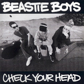 Beastie Boys - Check Your Head (1992) FLAC 88