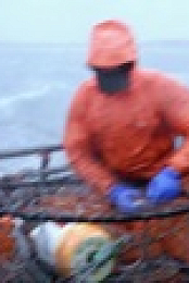 Deadliest Catch S18E09 1080p WEB h264-BAE EZTV