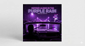 DRIVING ALONG IN THE PURPLE RAIN