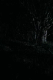 Nature S42E14 720p x265-T0PAZ EZTV
