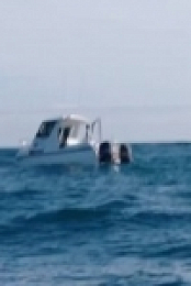 Dive Wars Australia S04E03 480p x264-mSD [eztv]