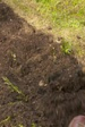 Ask This Old House S19E27 720p WEB h264-DiRT EZTV