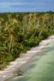 Primal Survivor S03E01 Trial By Ocean WEBRip x264-CAFFEiNE [eztv]