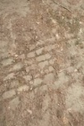 This Old House S44E18 480p x264-mSD EZTV