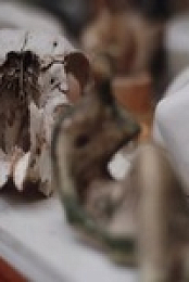 Fake or Fortune S09E01 480p x264-mSD EZTV