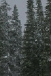 Alone S09E10 720p WEB h264-KOGi EZTV
