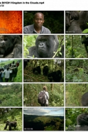 Mountain Gorilla (BBC, 2010) S01 complete (1280x720p HD, 50fps, soft Eng subs)
