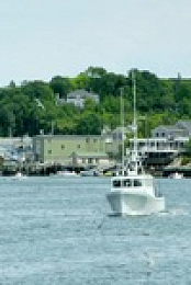 Wicked Tuna S10E18 480p x264-mSD EZTV