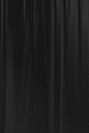 That Damn Michael Che S02 1080p WEBRip x265 EZTV