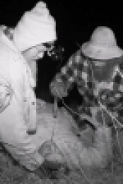 Mountain Monsters S05E05 Superfan Edition WEB x264-KOMPOST [eztv]