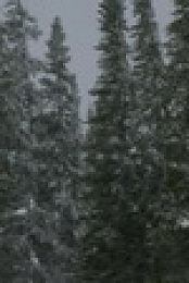 Alone S09E10 1080p WEB h264-KOGi EZTV