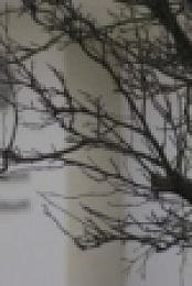 Britains Parking Hell S03E02 HDTV x264-LiNKLE [eztv]