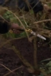 Garden Rescue S03E24 Wolverhampton 720p iP WEBRip AAC2 0 x264-SOIL[eztv]