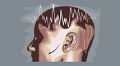 [ FreeCourseWeb ] Udemy - Neuroscience and Psychology - Electroencephalography (...
