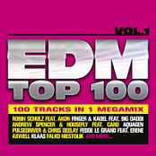 VA - EDM Top 100 Vol. 1 (2016) (Opus ~128) [Only2]