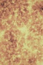 NOVA S48E14 Particles Unknown XviD-AFG EZTV