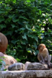 Wild Child S03E21 XviD-AFG EZTV