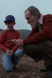 Amazing Stories 1985 COMPLETE 480p DVDRemux-FALCOR