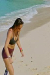 Survivor S43E01 480p x264-mSD EZTV