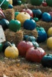Outrageous Pumpkins S03E03 XviD-AFG EZTV