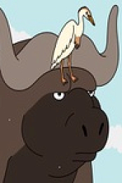 Adventure Beast S01E01 480p x264-mSD EZTV