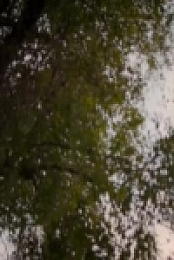 The Weekly S01E29 480p x264-mSD [eztv]