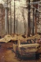 This Old House S42E30 1080p WEB h264-BAE EZTV