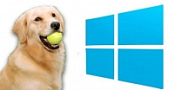 [ FreeCourseWeb ] Udemy - SDF - Windows Prefetch Forensics