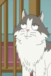 Family Guy S19E19 480p x264-mSD EZTV