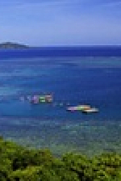 Survivor S44E04 XviD-AFG EZTV