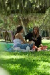 Siesta Key S04E15 WEB h264-WEBTUBE EZTV
