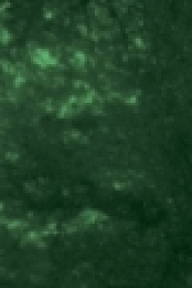 Destination Truth S04E09 iNTERNAL 720p HDTV x264-DHD[eztv]