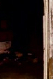 Snapped S29E13 XviD-AFG EZTV