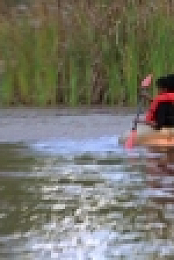 The Bachelor S25E04 720p WEB h264-KOGi EZTV