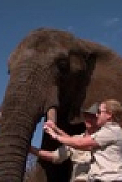 Work On The Wild Side S01E14 XviD-AFG EZTV