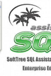 SoftTree SQL Assistant v11.1.115 Enterprise Edition + Crack [FTUApps]