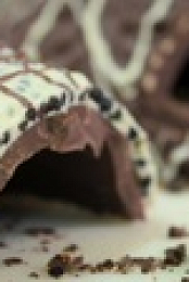 Hotel Chocolat at Easter S01E01 WEB h264-WEBTUBE EZTV